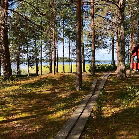 Luontohotelli Sapson Helmi Sotkamo Esterno foto