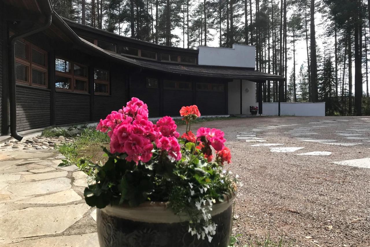 Luontohotelli Sapson Helmi Sotkamo Esterno foto